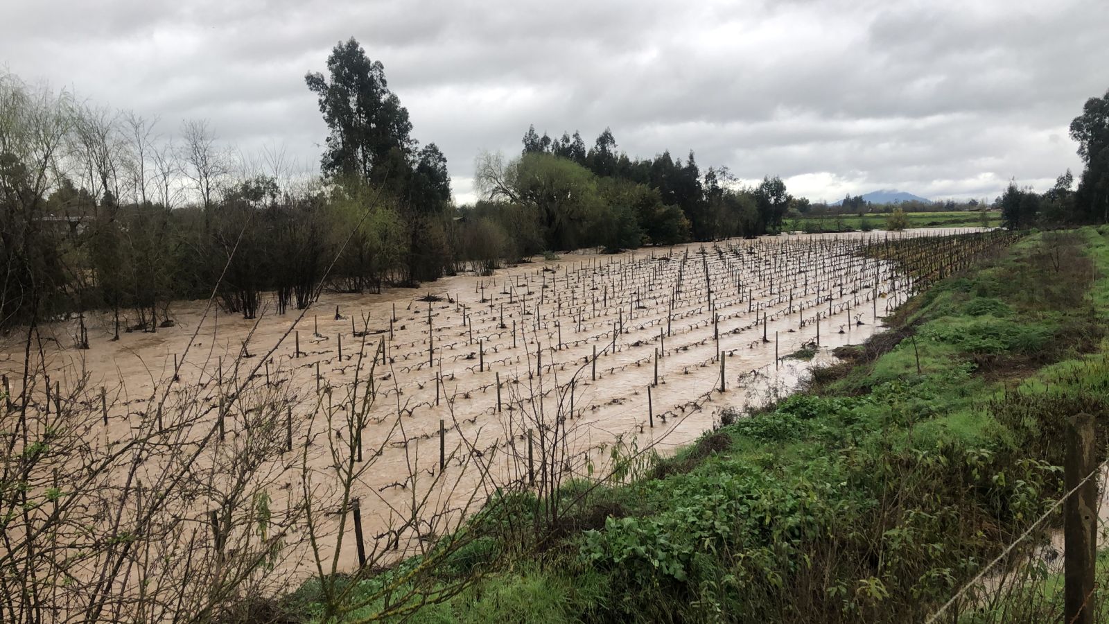 Presidente decreta Estado de Emergencia Agrícola entre las regiones de