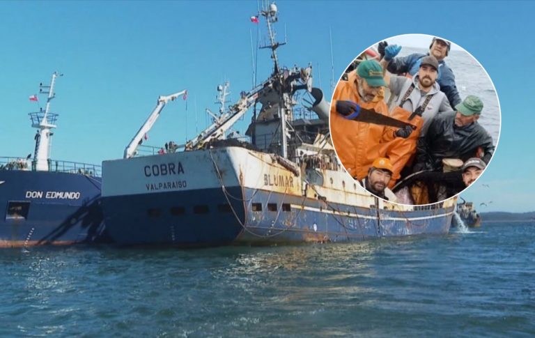 Caso Bruma: Armada de Chile confirma que tripulantes del Cobra incumplieron protocolo de rescate