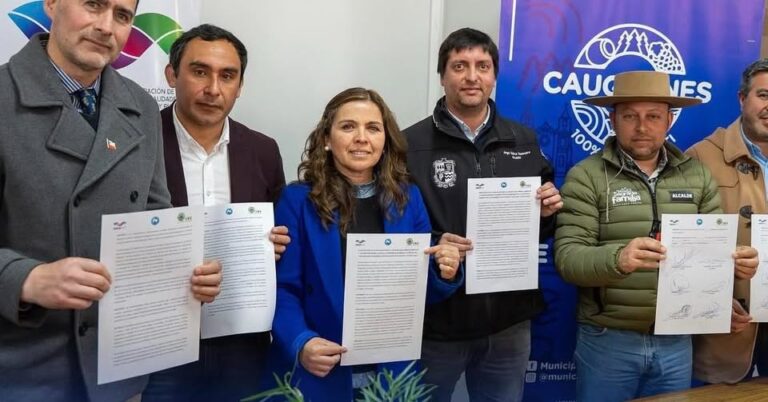 Municipios de tres regiones se unen para rechazar proyecto de transmisión energética Itahue–Hualqui