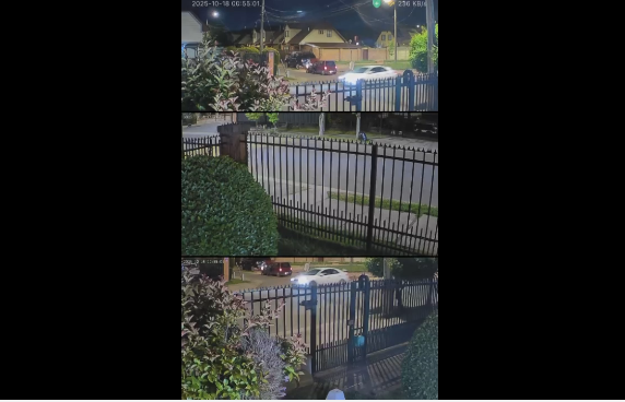 Vecinos reportan balacera en Las Rastras: no hubo lesionados