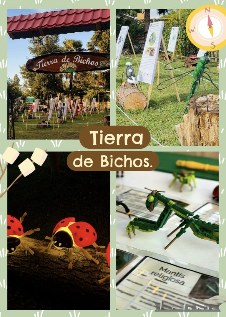bichos
