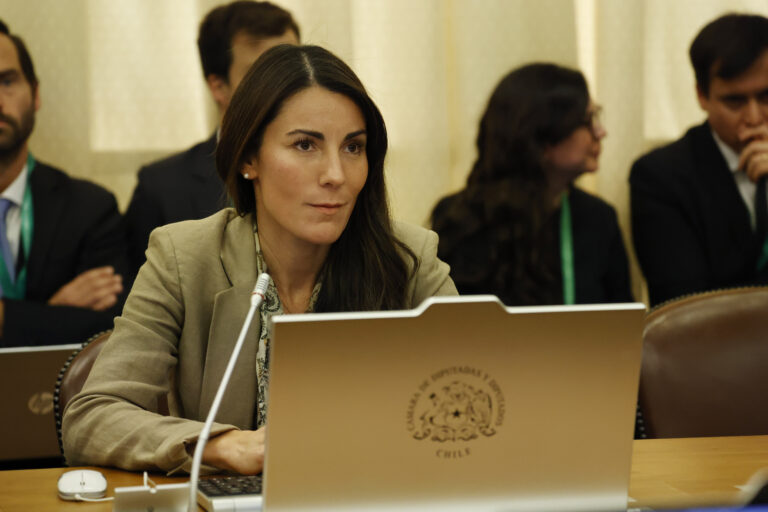 Gobierno evalúa pausar implementación de nuevos SLEP en algunas comunas