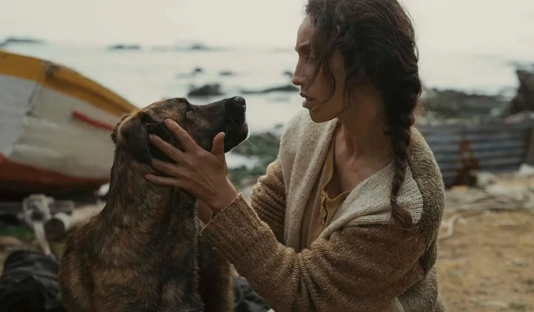Perrita chilena rescatada triunfa en Cannes y gana el Palm Dog por su actuación en “La Perra”