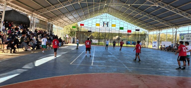 Liga Regional de Handball ya es una realidad en el Maule