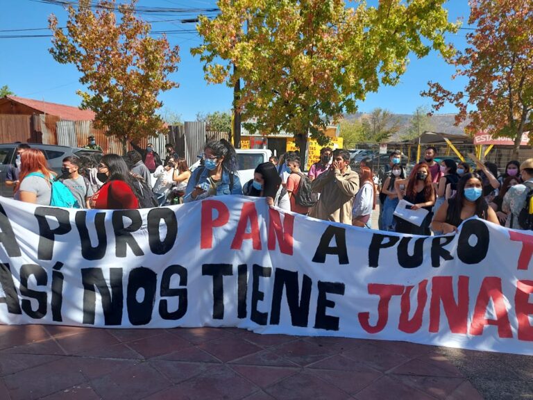 Talca: Universitarios marchan para exigir aumento de la Beca Junaeb