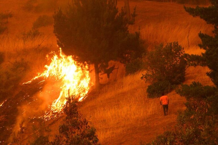 Molina: Condenas de 5 y 3 años recibieron brigadistas forestales tras originar incendios intencionales