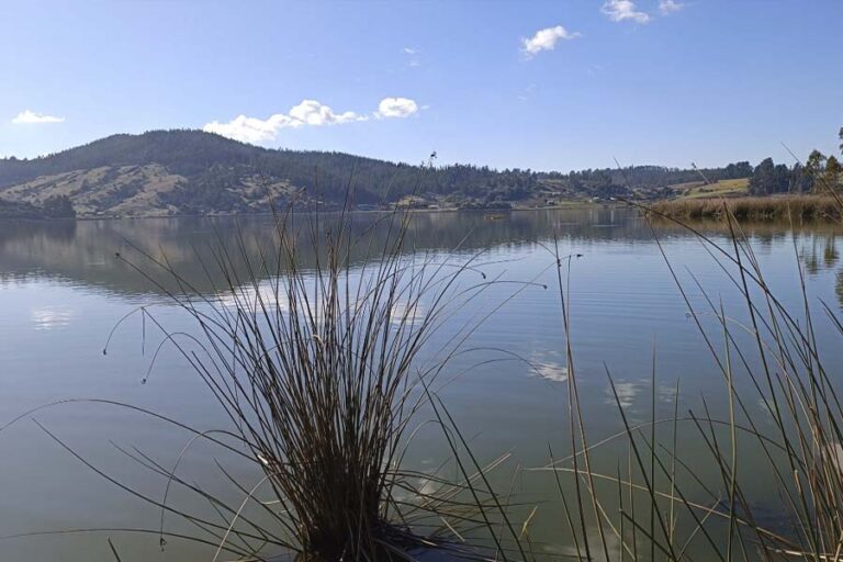 Laguna Torca: Prueban monitor de humedales que mide las variables fisicoquímicas del agua