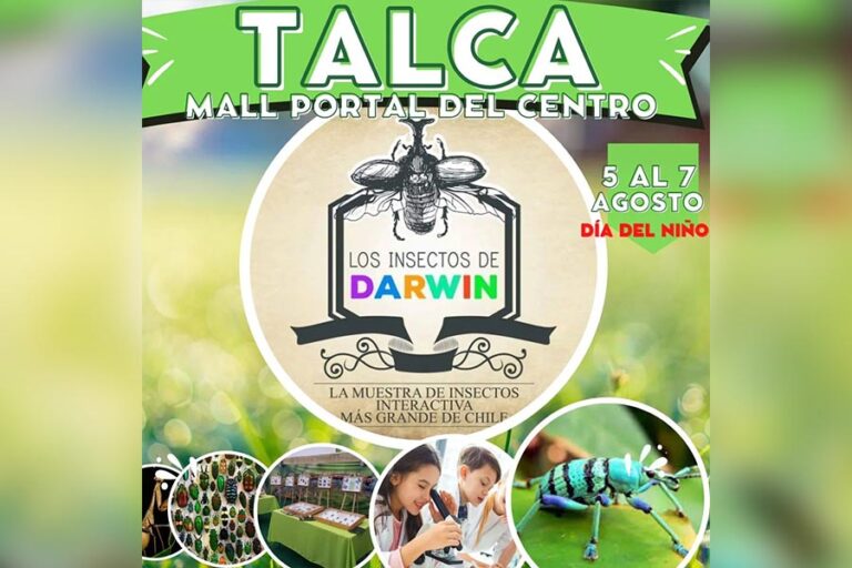 Atención Linares y Talca: “Los Insectos de Darwin” llega a tu ciudad estas vacaciones de invierno