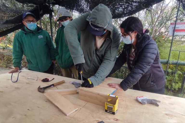 San Clemente: Voluntariado Teletón realizará obras para mejorar accesibilidad en hogares de pacientes