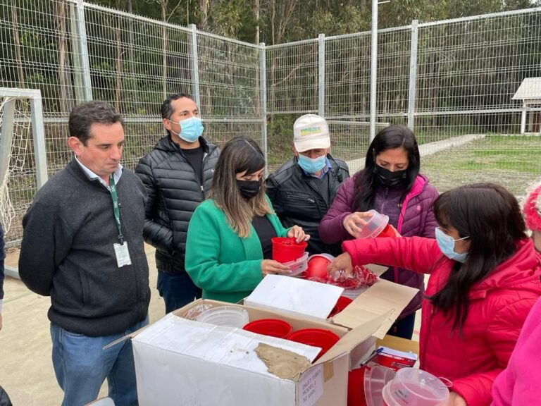 Autoridades del Agro se reúnen con frutilleros de Pelluhue para abordar plaga Nemátodo