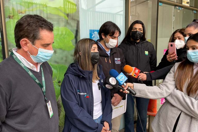 Autoridades del agro en el Maule anuncian medidas por nueva plaga que afecta a la frutilla