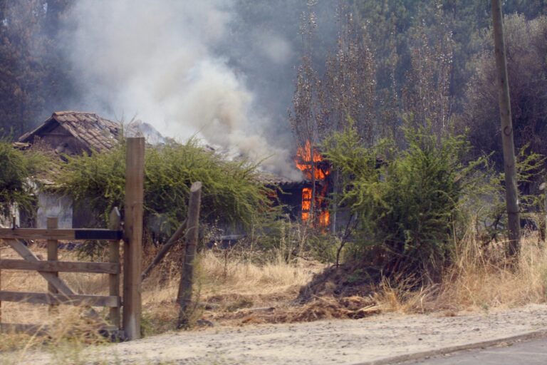 Incendios forestales: “En Chile el 99,7% tiene su origen en las acciones humanas”