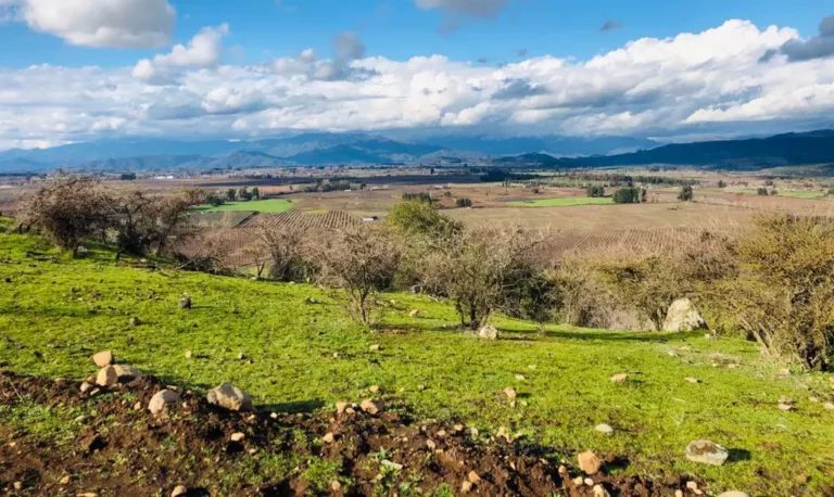 Parcelas rurales: Justicia suspende temporalmente instructivo del SAG contra loteos con fines habitacionales