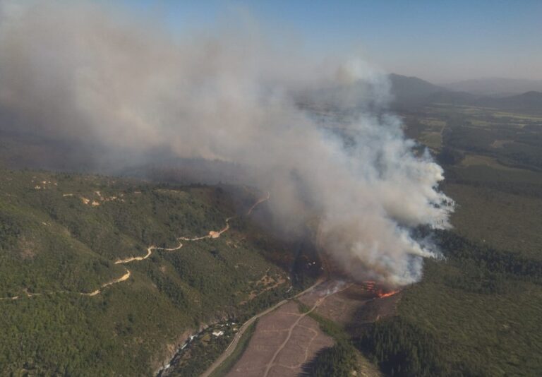 Balance incendios forestales en el Maule: fin de semana largo concentró distintos siniestros simultáneos