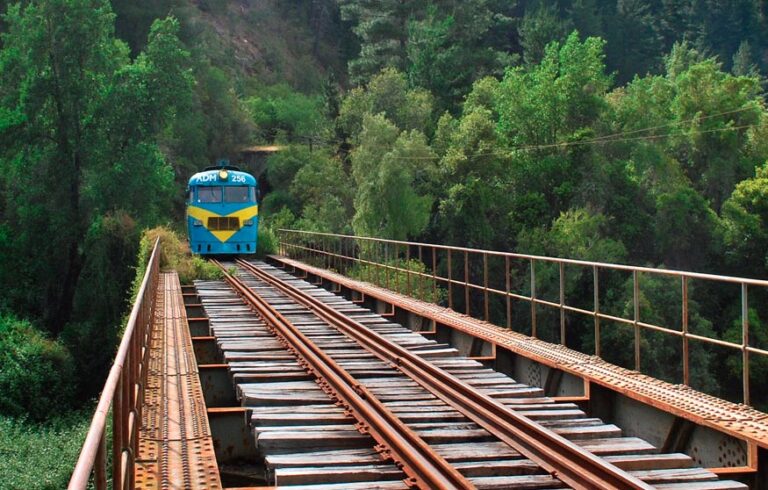 Rehabilitación férrea del Ramal Talca-Constitución permite ahorrar media hora de viaje