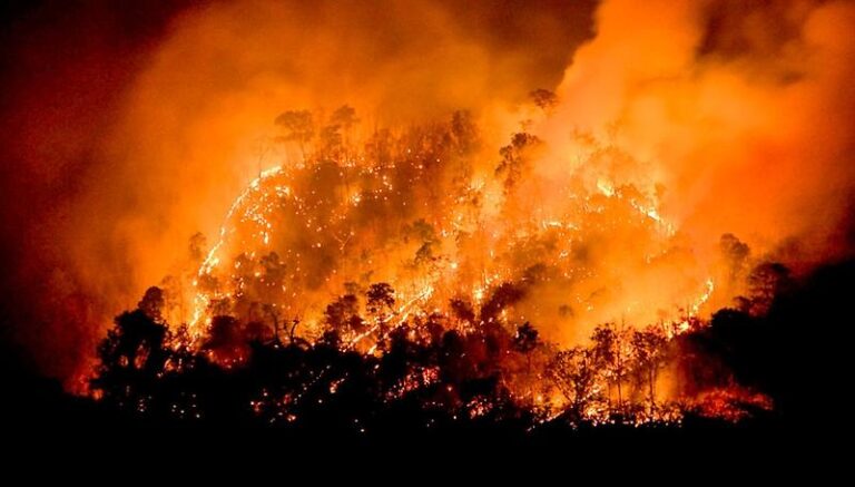 PDI efectúa investigación por incendio forestal que consumió 70 hectáreas en Batuco