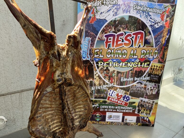 Se realizó lanzamiento de la Fiesta del Chivo al Palo Pehuenche de Colbún