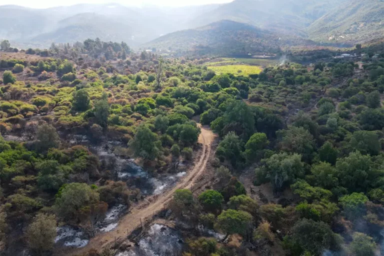 Actualización: incendio forestal San Javier