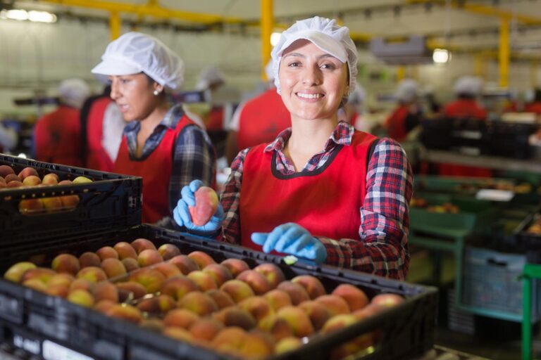 Tasa de ocupación laboral registra un repunte en la Región del Maule