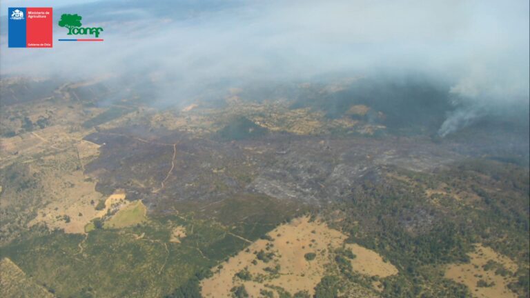 Cauquenes y Curicó: Incendios activos en la Región del Maule