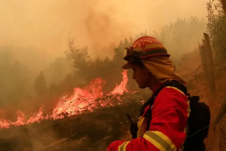 Incendio de Ñuble cruzó el límite y ya llegó a la región del Maule