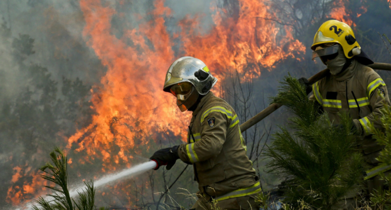 Valparaíso: Declaran alerta roja por incendio forestal que afecta a Laguna Verde