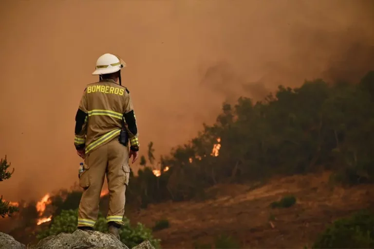 Actualización Incendios Región Del Maule