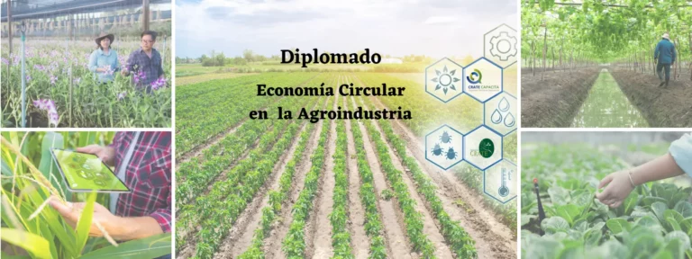 Lanzan Diplomado en Economía Circular en la Agroindustria