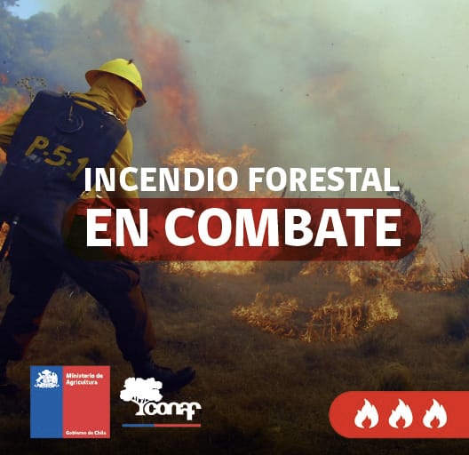 Cauquenes con Alerta Roja por incendios forestales