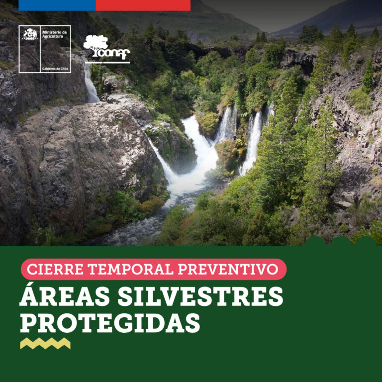 CONAF anuncia cierre preventivo del Parque Nacional Radal Siete Tazas y la Reserva Nacional Altos de Lircay por altas temperaturas