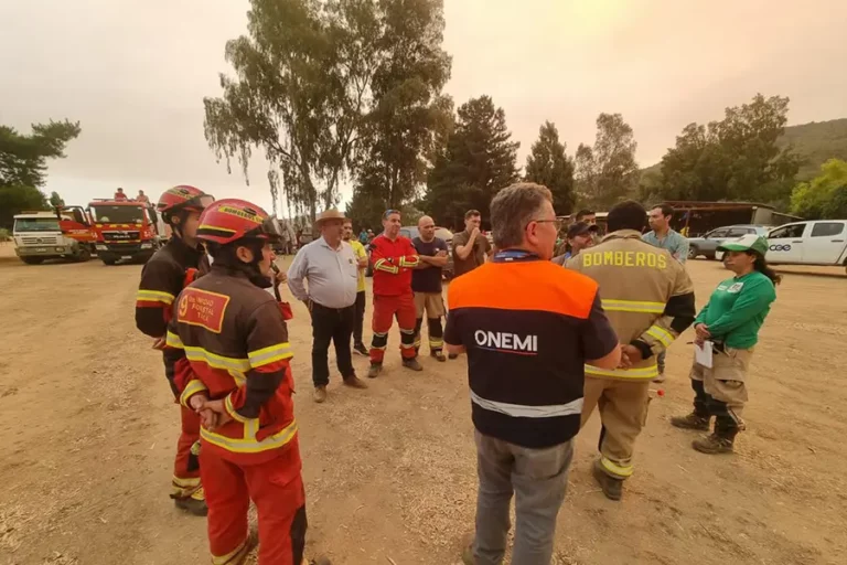 Alcalde de Pencahue lamenta mínima presencia de aeronaves combatiendo  incendio forestal a 24 horas de iniciado