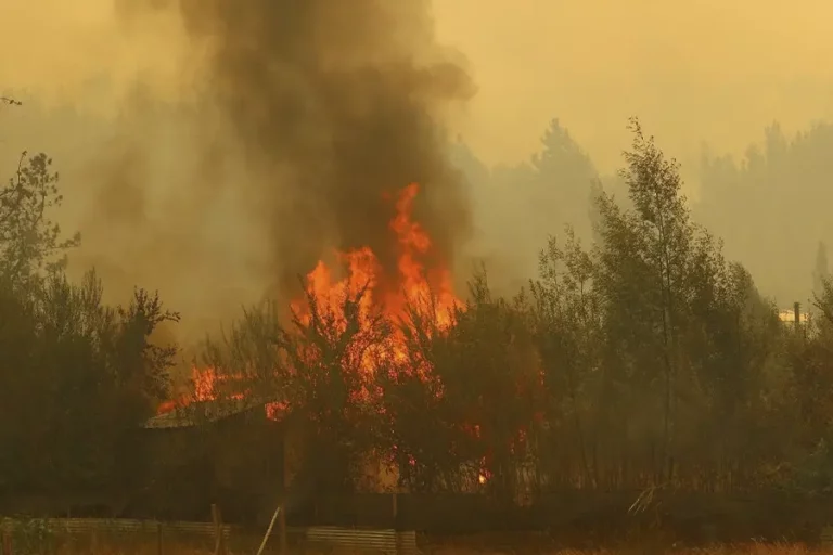 Senapred decretó Alerta Roja para la comuna de Río Claro