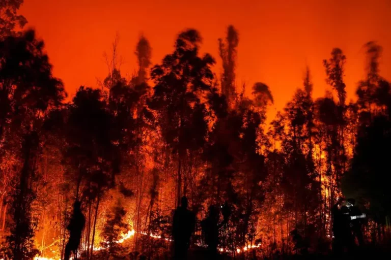 26 personas ya han fallecido por incendios