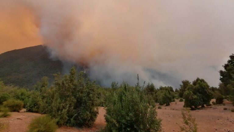 Incendios forestales: “las condiciones climáticas del país se van a mantener y empeorar”