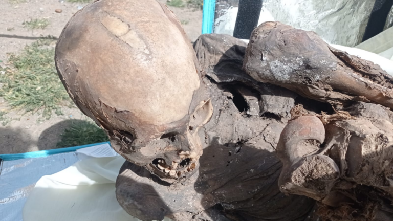 Insólito: Repartidor de Perú es sorprendido portando una momia de 800 años