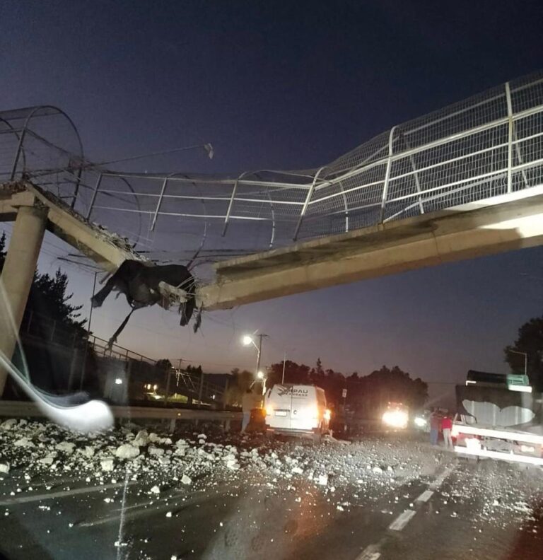 Camión con batea destruye pasarela en las cercanías de Curicó