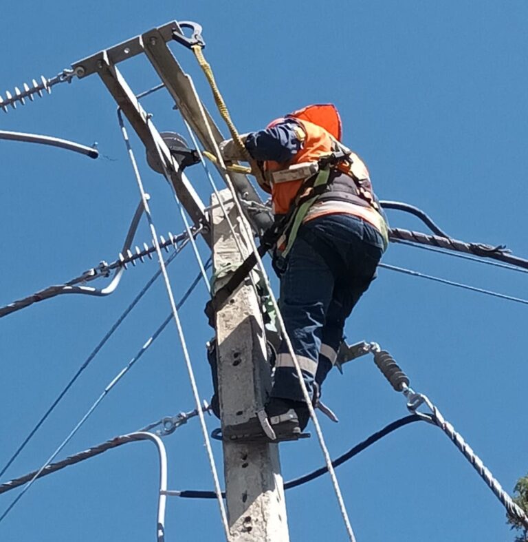 CGE continúa con plan de inversiones para mejorar la calidad del servicio eléctrico en el Maule