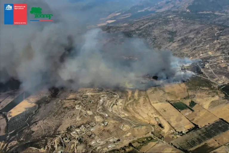 Incendio forestal afecta a la ciudad de Curicó