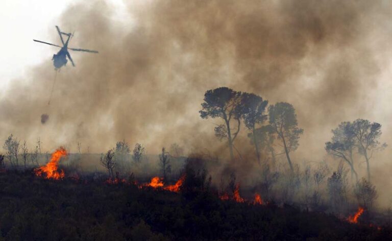 Incendios forestales aún causan estragos en el Maule