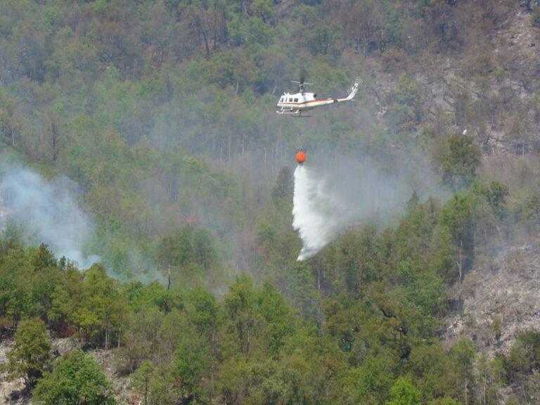 Desde septiembre de 2022 se han registrado 643 incendios forestales en la Región del Maule