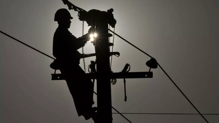 Curicó y Cauquenes se verán afectados por cortes de luz este jueves