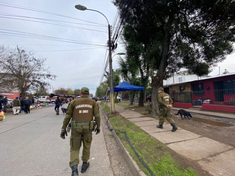 Curicó: Feria de las Pulgas fue masivamente fiscalizada por Carabineros