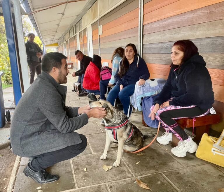 Lanzan Plan Nacional de Esterilizaciones en Maule