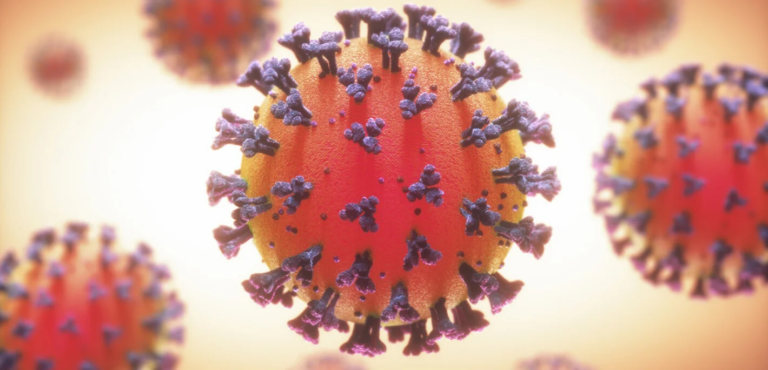 “Enfermedad X”: La OMS advierte que podría ocasionar una pandemia más letal que el COVID