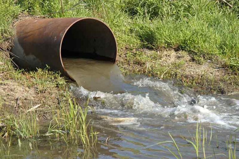 Curicó: encuentran feto humano en dependencias de empresa de tratamiento de aguas servidas