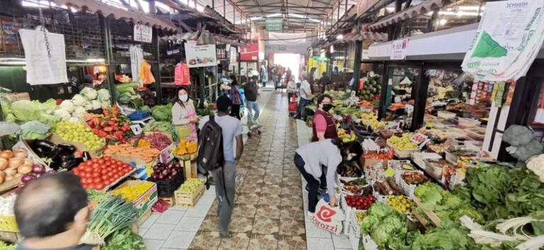 Mejores Alimentos de la Temporada (MAT): ministro Valenzuela anuncia cuáles son desde el CREA Talca