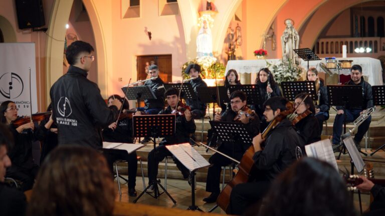 Linares: Orquesta Filarmónica del Maule Sur participó de peña solidaria