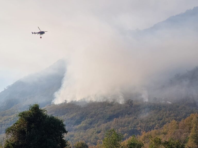 Linares: Incendio ha consumido 18 hectáreas de bosque nativo