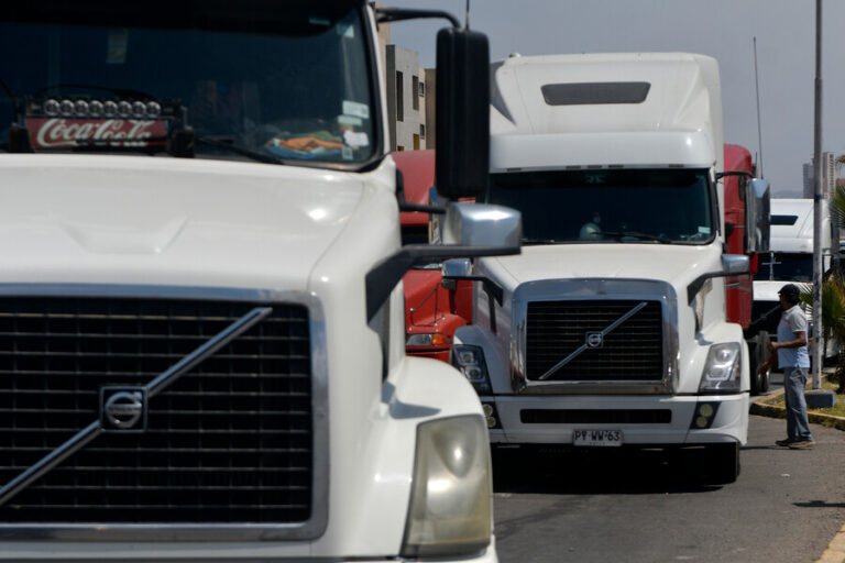 Camionero fue detenido al ser sorprendido transportando hasta 24 toneladas de jibia