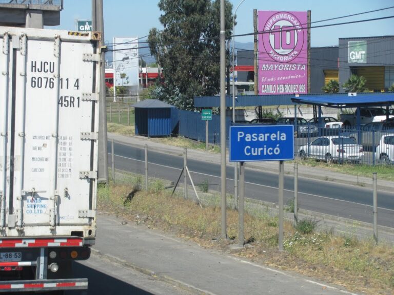 Curicó: Encuentran restos de osamentas en Ruta 5 Sur